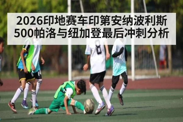 2026印地赛车印第安纳波利斯500帕洛与纽加登最后冲刺分析